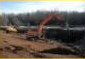Excavator clearing a wooded site